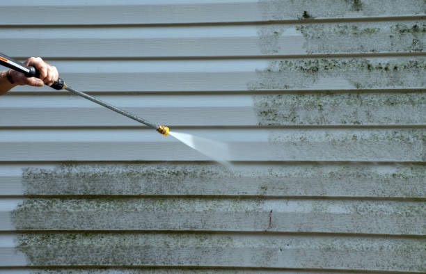 Professional Pressure Washing Services in Alorton, IL